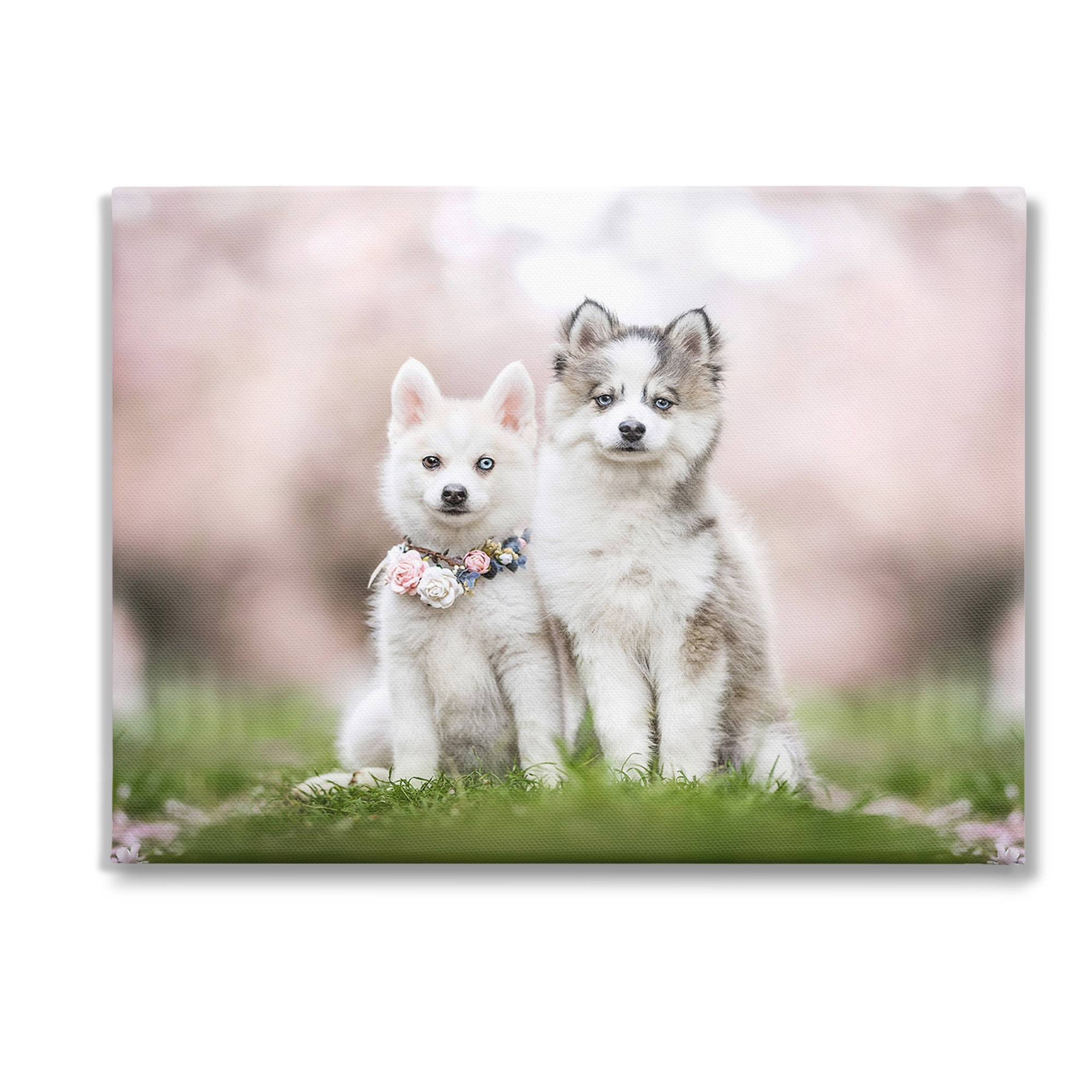 Stupell Industries Husky Puppies in Meadow Animals & Insects Painting Gallery Wrapped Canvas Art Print Wall Art, 40 x 30