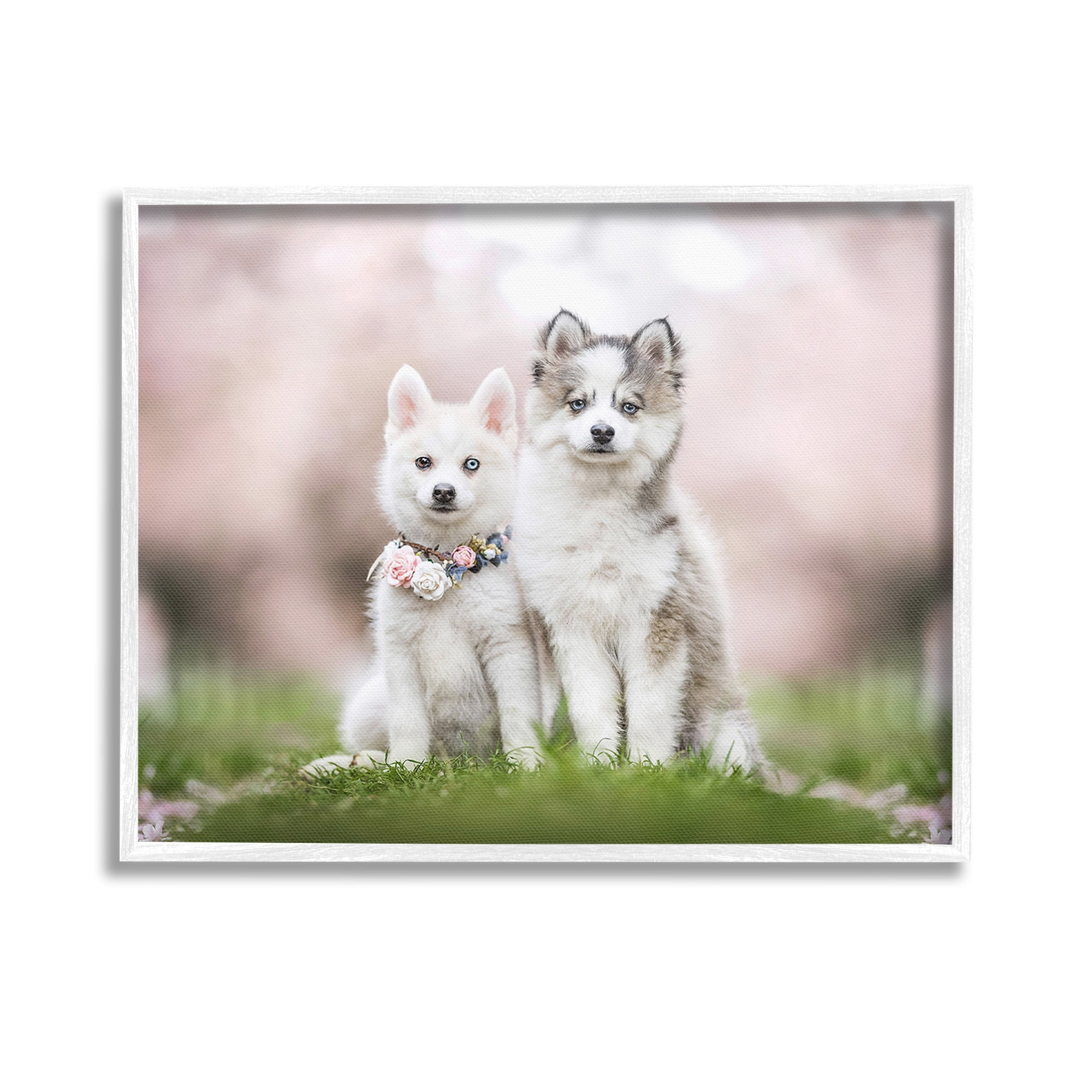 Stupell Industries Husky Puppies in Meadow Animals & Insects Painting White Framed Art Print Wall Art, 14 x 11