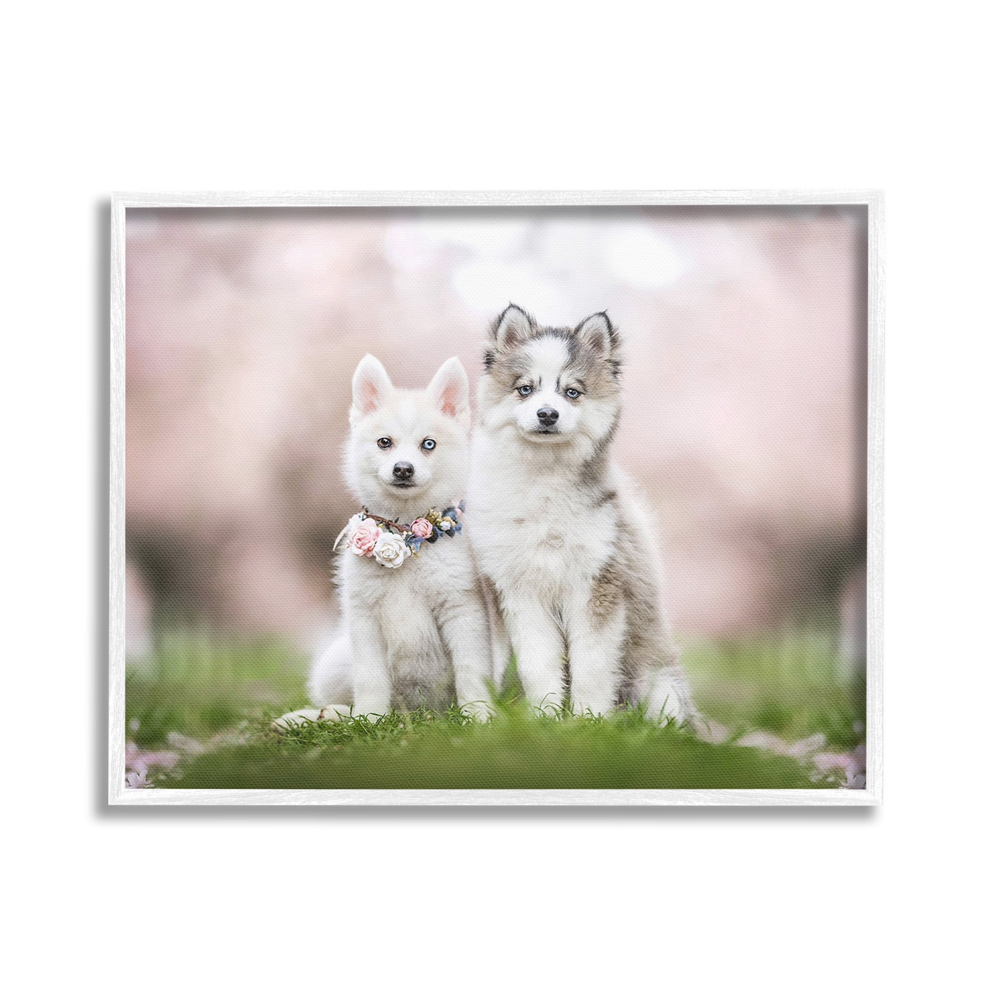 Stupell Industries Husky Puppies in Meadow Animals & Insects Painting White Framed Art Print Wall Art, 30 x 24