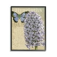 thumbnail image 1 of Stupell Industries Hyacinth Pattern & Butterfly Botanical & Floral Painting Black Framed Art Print Wall Art, 11 x 14, 1 of 9