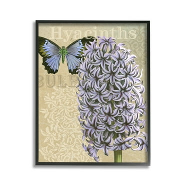 Stupell Industries Hyacinth Pattern & Butterfly Botanical & Floral Painting Black Framed Art Print Wall Art, 11 x 14