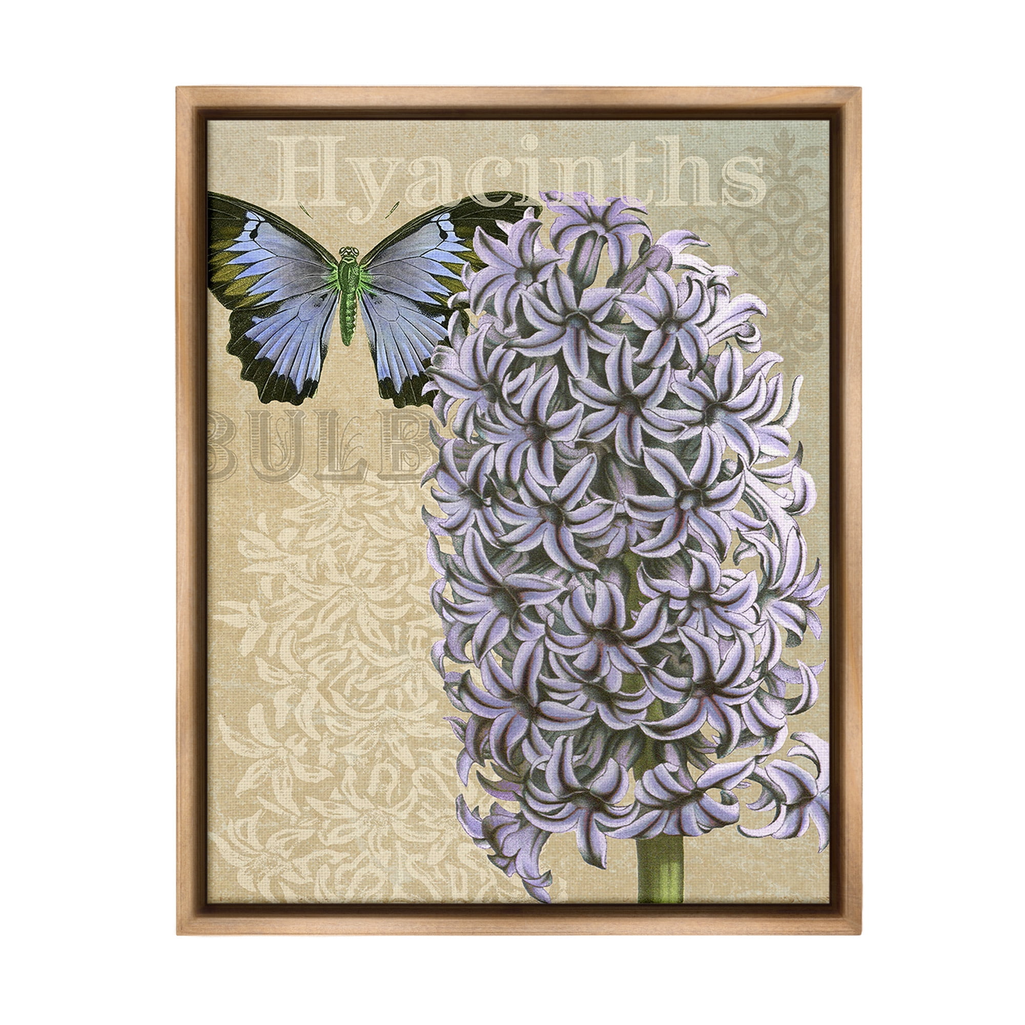 Stupell Industries Hyacinth Pattern & Butterfly Botanical & Floral Painting Brown Floater Framed Canvas Art Print Wall Art, 17 x 21