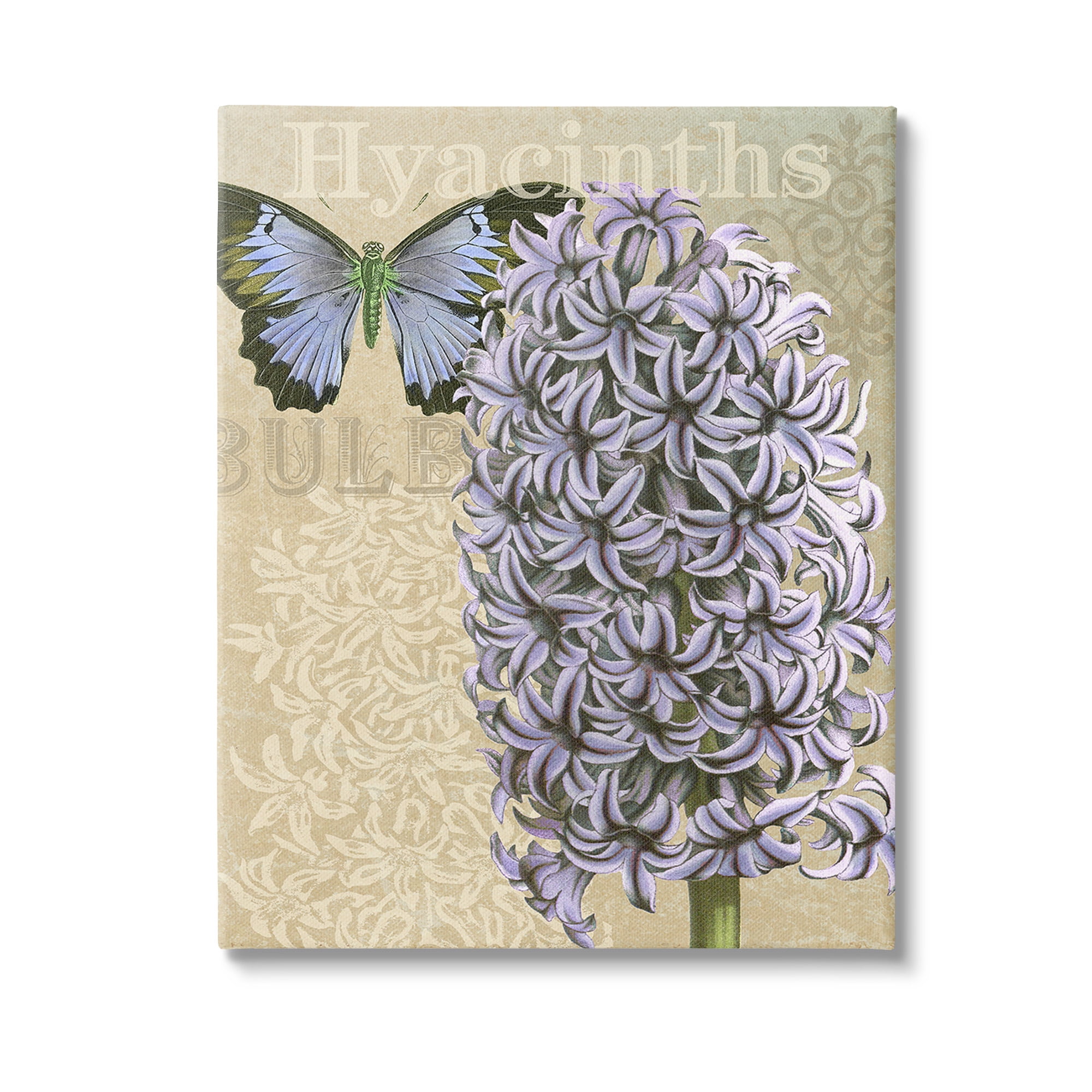 Stupell Industries Hyacinth Pattern & Butterfly Botanical & Floral Painting Gallery Wrapped Canvas Art Print Wall Art, 36 x 48