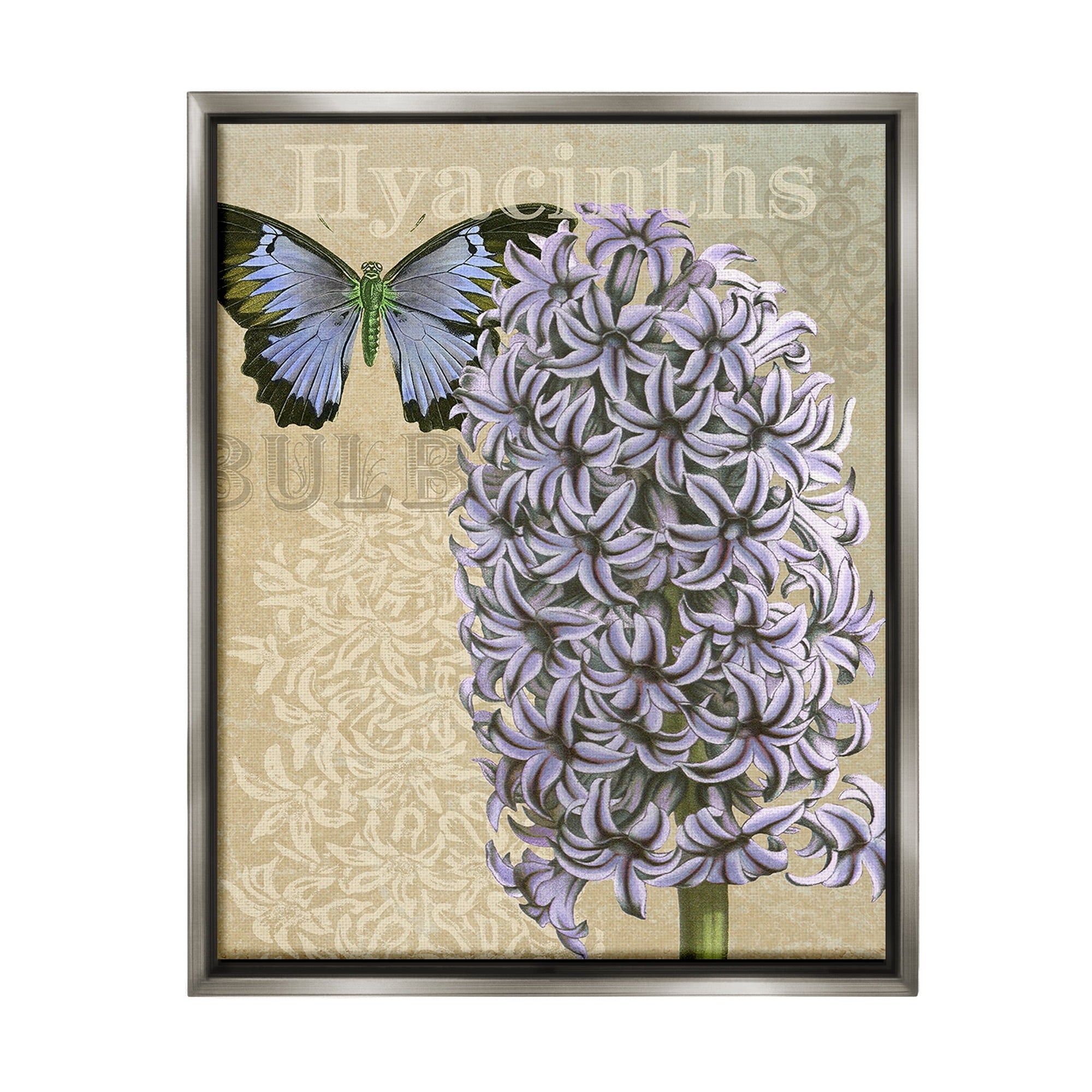 Stupell Industries Hyacinth Pattern & Butterfly Botanical & Floral Painting Gray Floater Framed Canvas Art Print Wall Art, 17 x 21