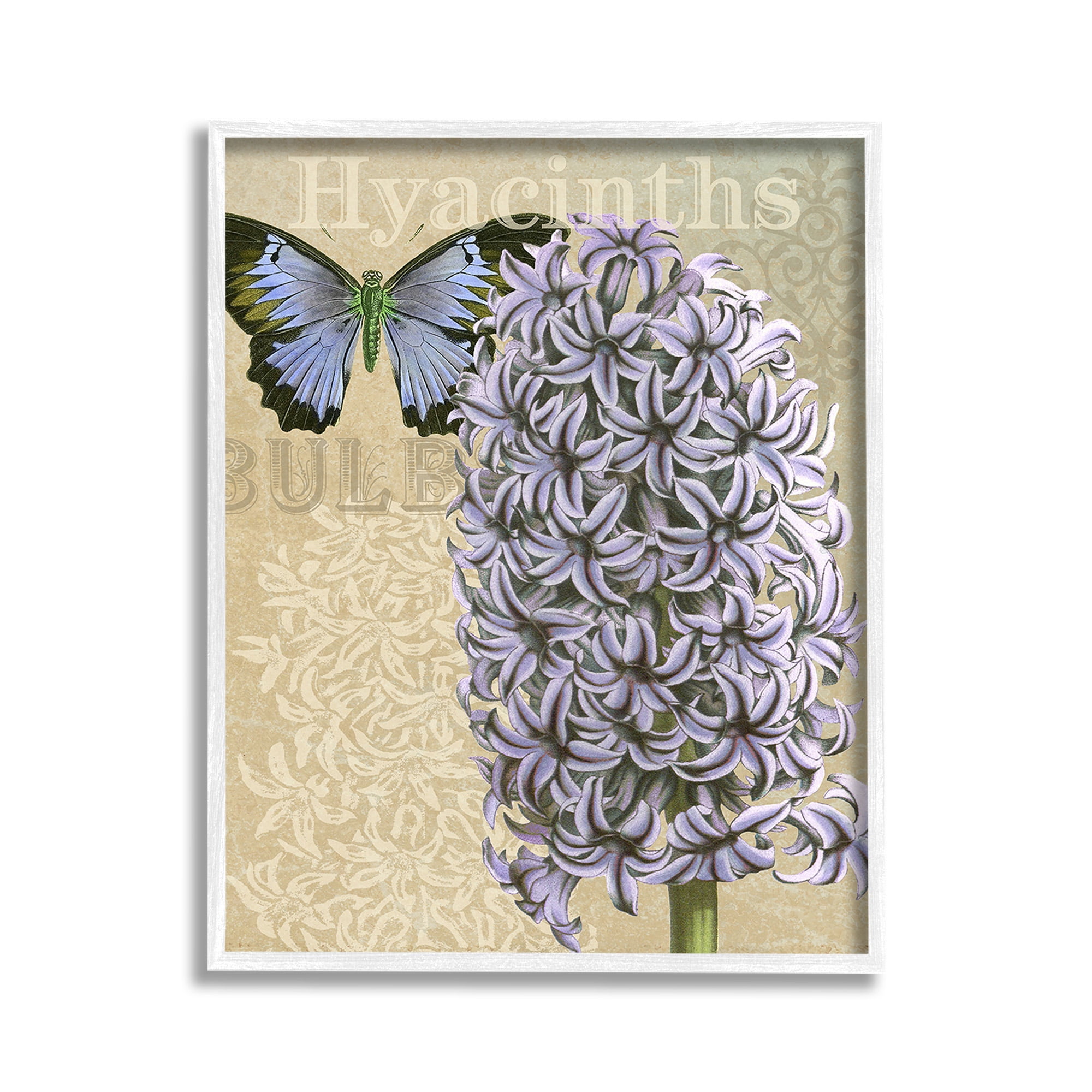 Stupell Industries Hyacinth Pattern & Butterfly Botanical & Floral Painting White Framed Art Print Wall Art, 11 x 14