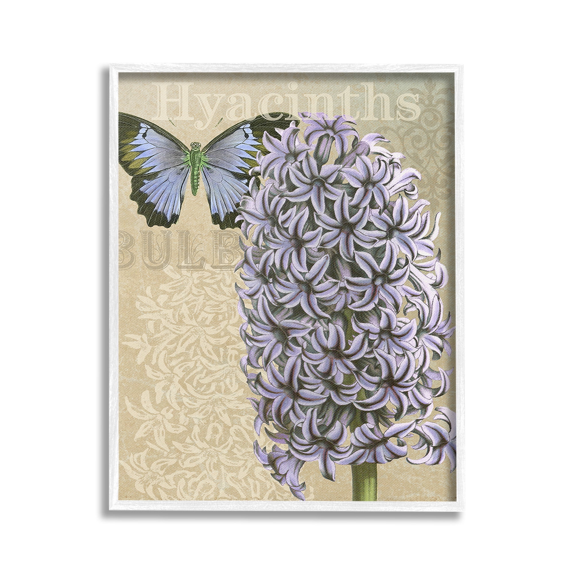 Stupell Industries Hyacinth Pattern & Butterfly Botanical & Floral Painting White Framed Art Print Wall Art, 16 x 20