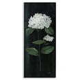 thumbnail image 1 of Stupell Industries Hydrangea Flower Blossom Distressed Dark Background Painting Gallery Wrapped Canvas Print Wall Art, Design by Nan, 1 of 5