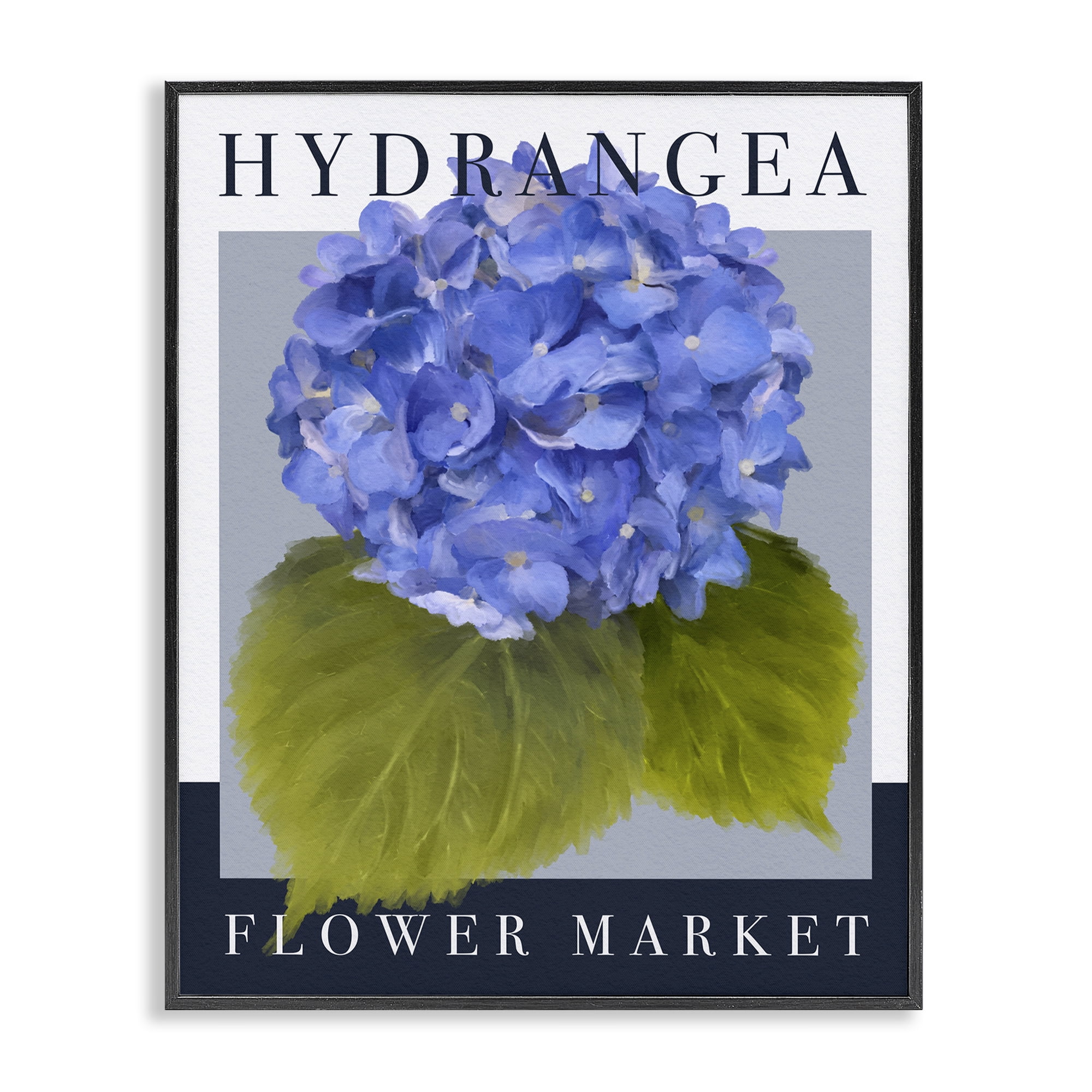 Stupell Industries Hydrangea Flower Market Black Framed Giclee Art, design by Jennifer Stith