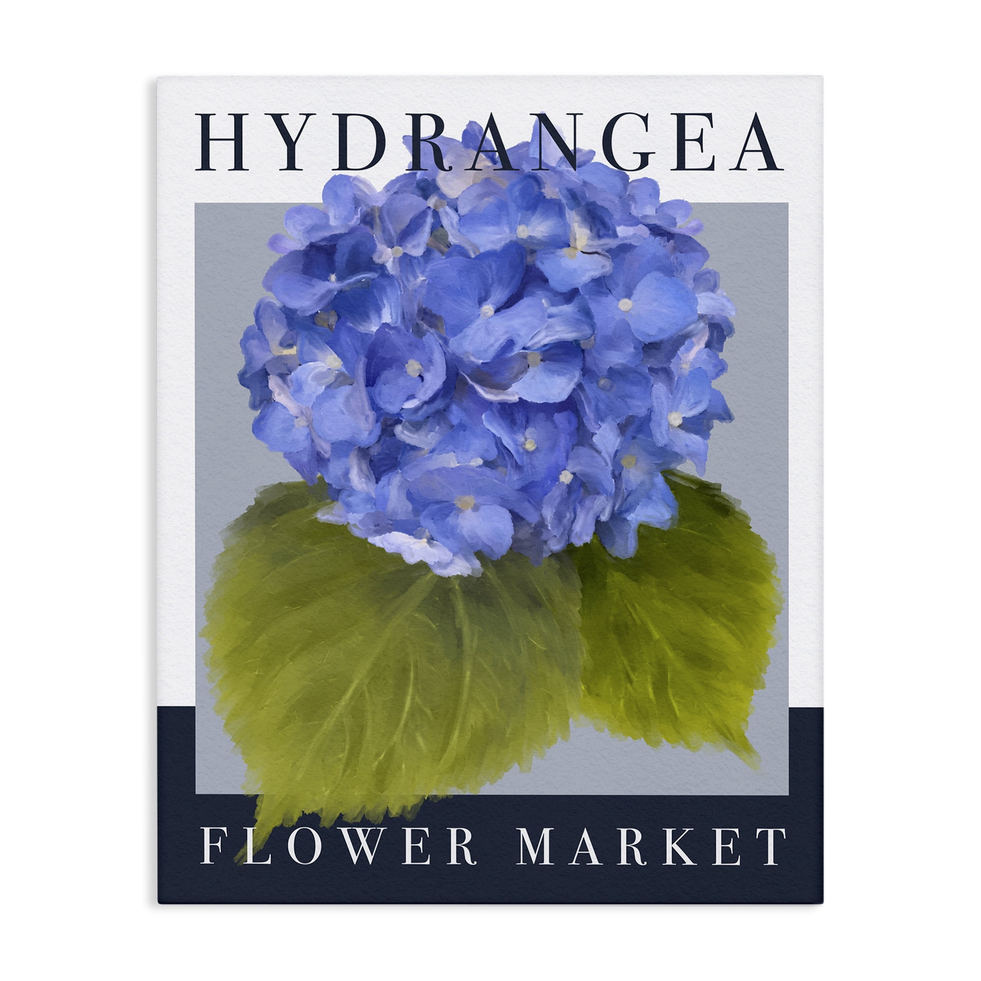 Stupell Industries Hydrangea Flower Market Canvas Wall Art, design by Jennifer Stith