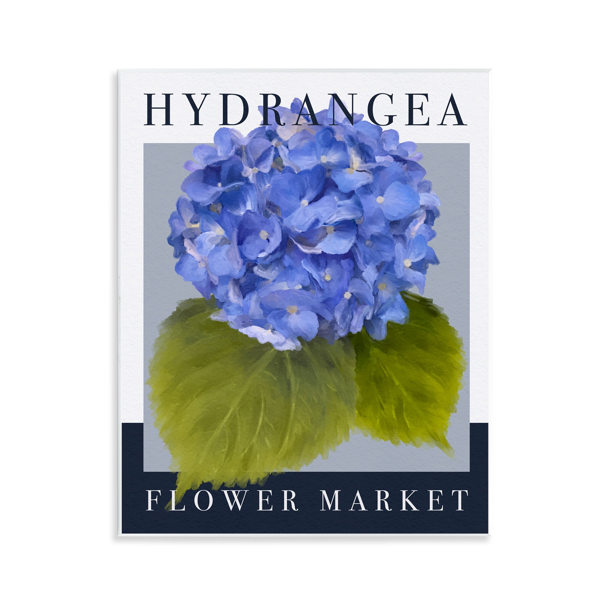Stupell Industries Hydrangea Flower Market Wall Plaque Art, design by Jennifer Stith