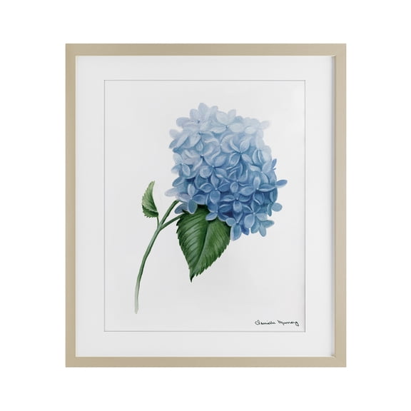 Stupell Industries Hydrangea Stem In Bloom Birch Framed Print Under Glass design by Danielle Murray, 16 x 13