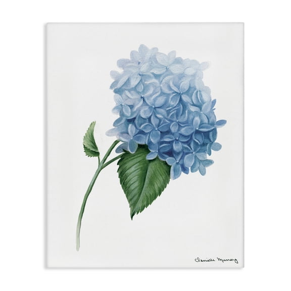 Stupell Industries Hydrangea Stem In Bloom Canvas Wall Art design by Danielle Murray, 40 x 30