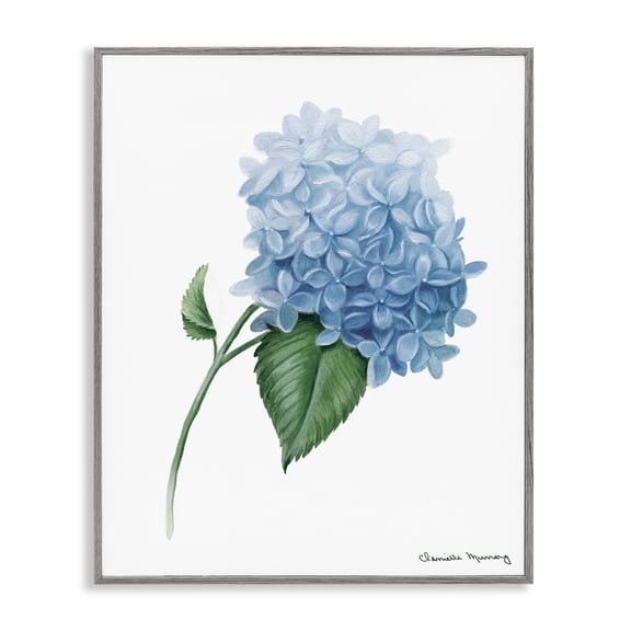 Stupell Industries Hydrangea Stem In Bloom Gray Framed Giclee Art design by Danielle Murray, 14 x 11