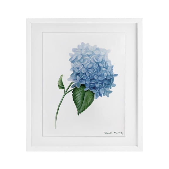 Stupell Industries Hydrangea Stem In Bloom White Framed Print Under Glass design by Danielle Murray, 21 x 17