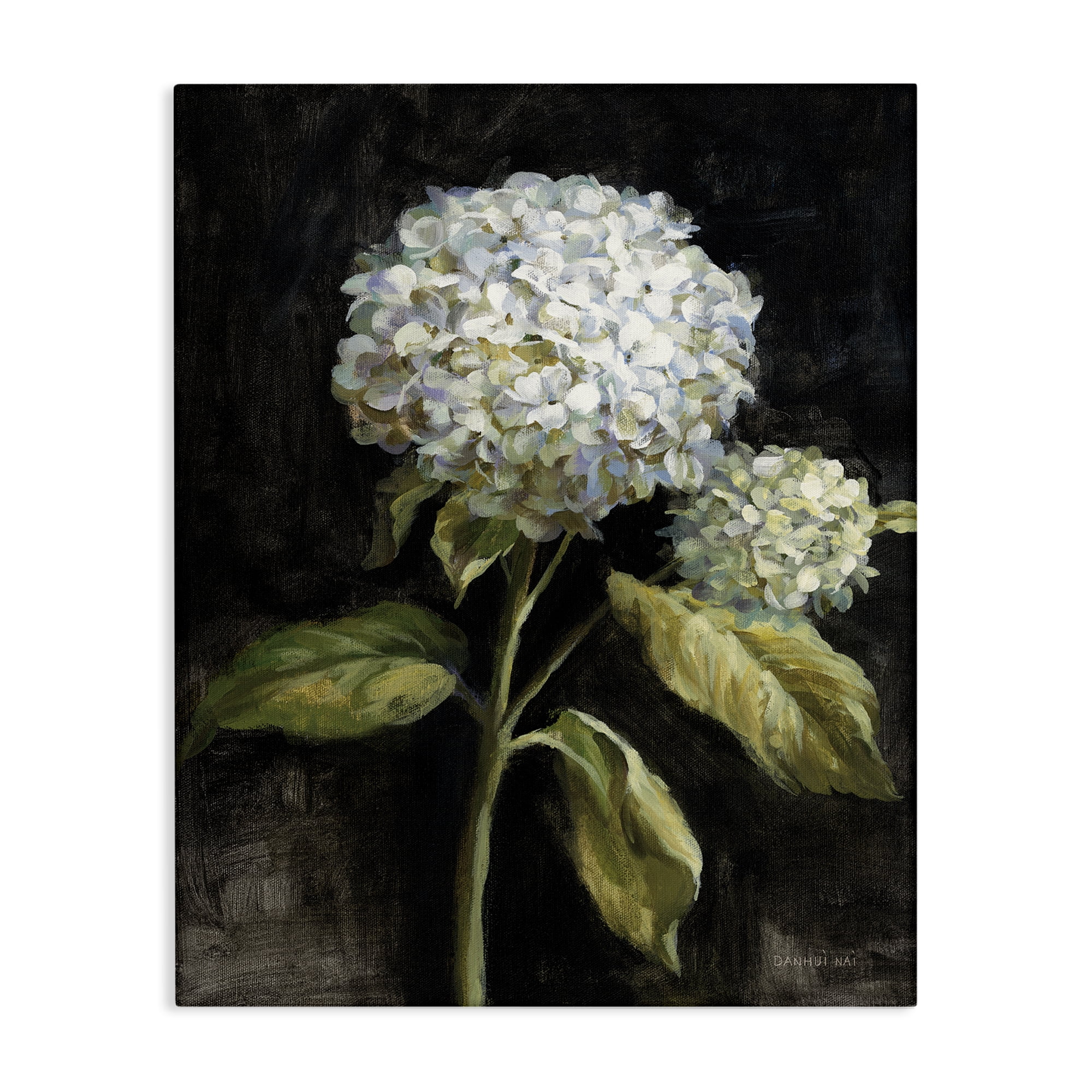 Stupell Industries Hydrangea on Black Plants & Flowers Painting Wrapped Canvas Art Print Wall Art, 36 x 48