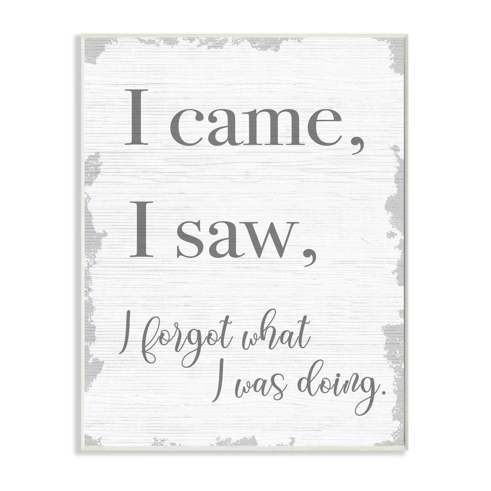 Stupell Industries I Came, I Saw, I Forgot Quote with Distressed Charm Designed by Daphne Polselli