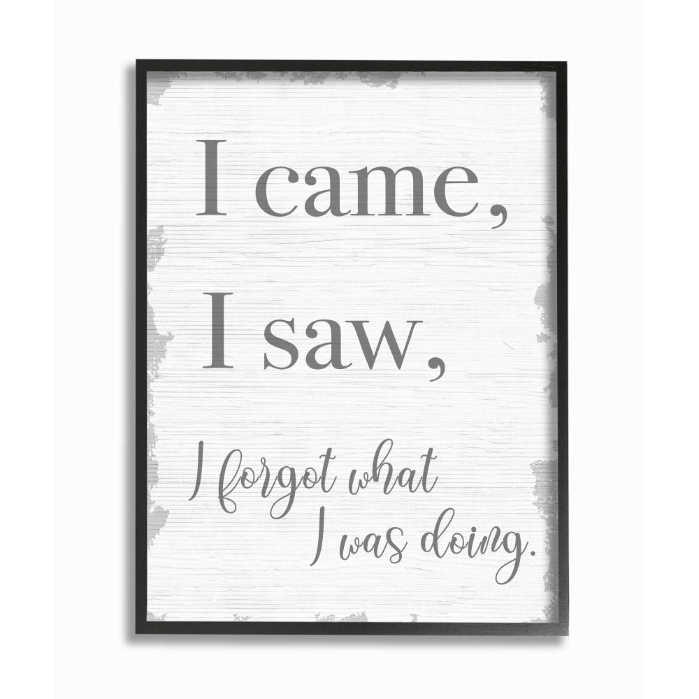 Stupell Industries I Came, I Saw, I Forgot Quote with Distressed Charm Designed by Daphne Polselli