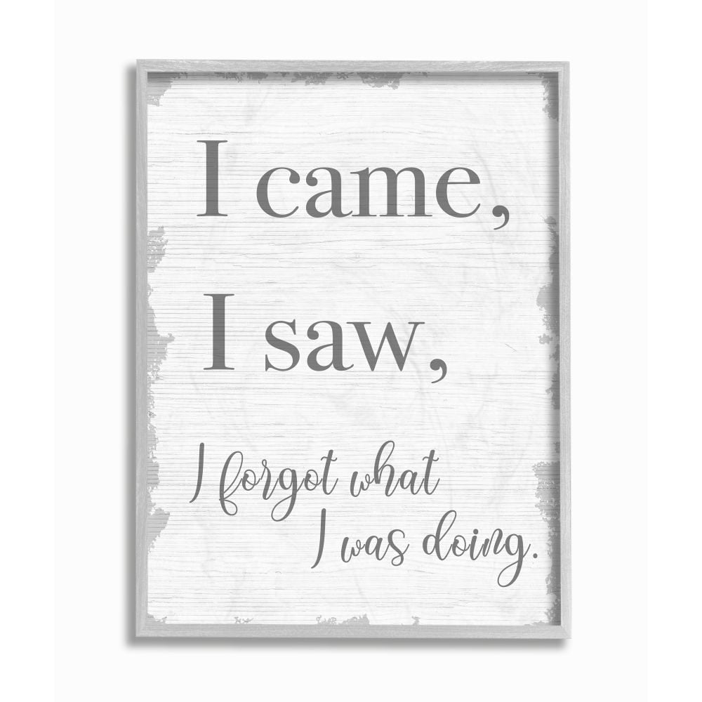 Stupell Industries I Came, I Saw, I Forgot Quote with Distressed Charm Designed by Daphne Polselli