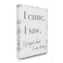 Stupell Industries I Came, I Saw, I Forgot Quote with Distressed Charm Designed by Daphne Polselli