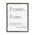 thumbnail image 1 of Stupell Industries I Came, I Saw, I Forgot Quote with Distressed Charm Designed by Daphne Polselli, 1 of 5
