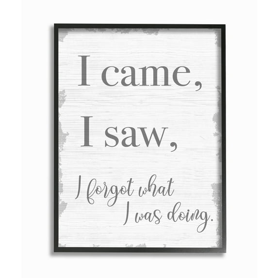 Stupell Industries I Came, I Saw, I Forgot Quote with Distressed Charm Designed by Daphne Polselli
