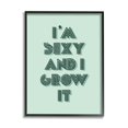 thumbnail image 1 of Stupell Industries I'm Sexy And I Grow It Gardening Plant Humor Framed Wall Art, 11 x 14, Design by Lil' Rue, 1 of 5