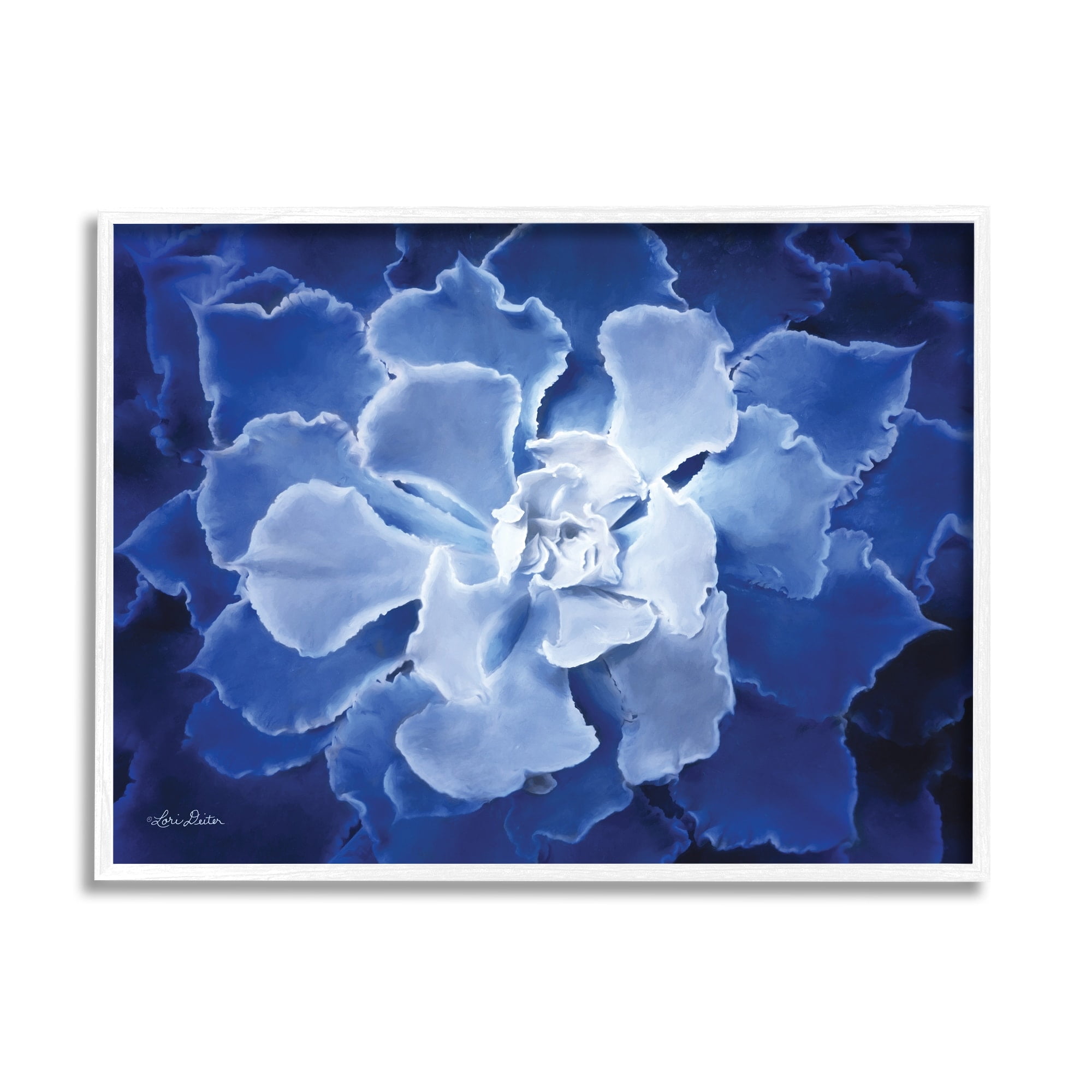 Stupell Industries Ice Wind Petal Pattern Blue Monochromatic Plant Photograph,14 x 11, Design by Lori Deiter