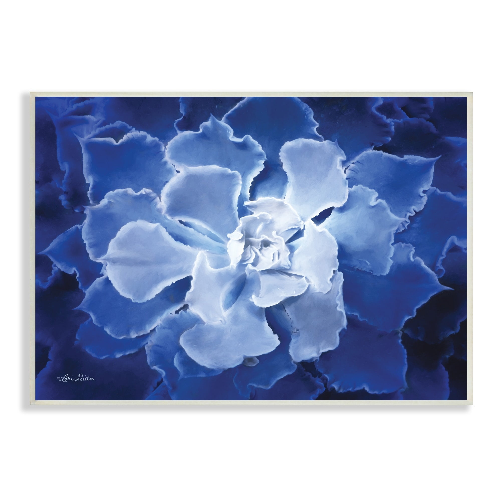 Stupell Industries Ice Wind Petal Pattern Blue Monochromatic Plant Photograph,19 x 13, Design by Lori Deiter