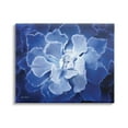 thumbnail image 1 of Stupell Industries Ice Wind Petal Pattern Blue Monochromatic Plant Photograph,30 x 24, Design by Lori Deiter, 1 of 5