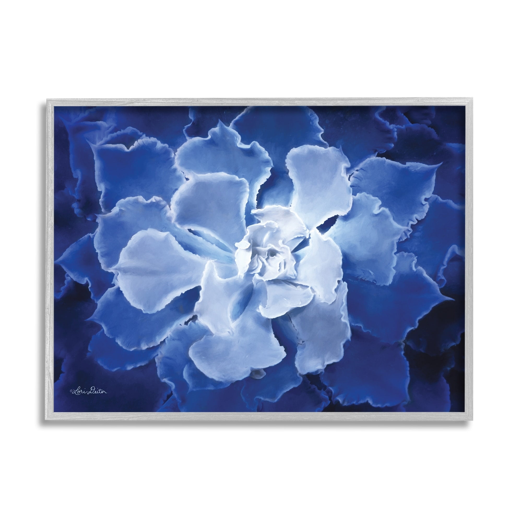 Stupell Industries Ice Wind Petal Pattern Blue Monochromatic Plant Photograph,30 x 24, Design by Lori Deiter