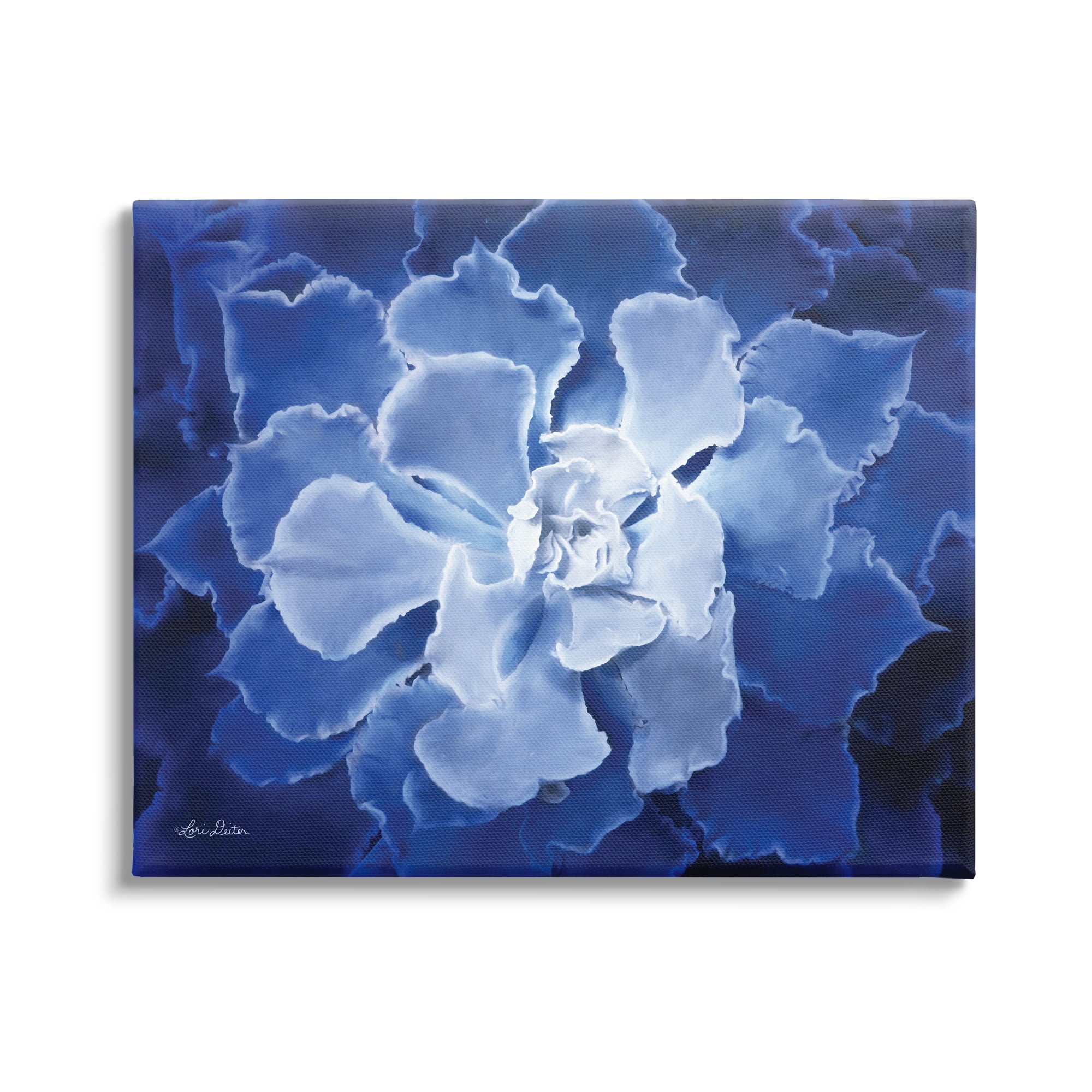 Stupell Industries Ice Wind Petal Pattern Blue Monochromatic Plant Photograph,40 x 30, Design by Lori Deiter