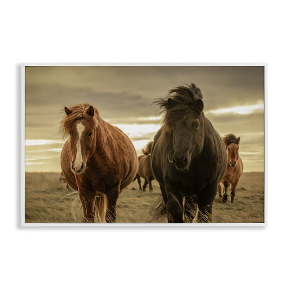 Stupell Industries Icelandic Afterglow Horses White Framed Giclee Art, design by Christy Berry