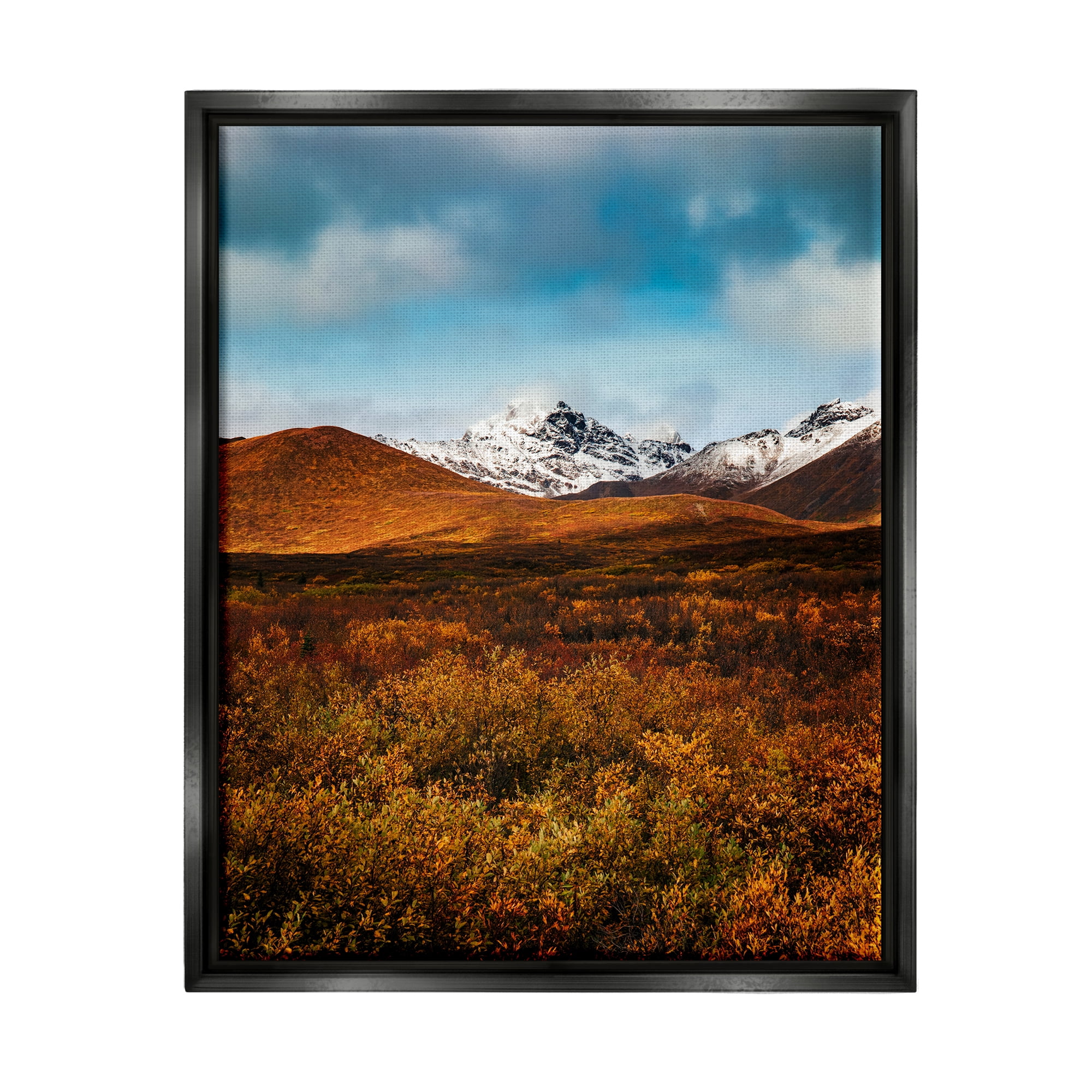 Stupell Industries Icy Mountain Landscape Landscape Photography Black Floater Framed Canvas Art Print Wall Art, 25 x 31