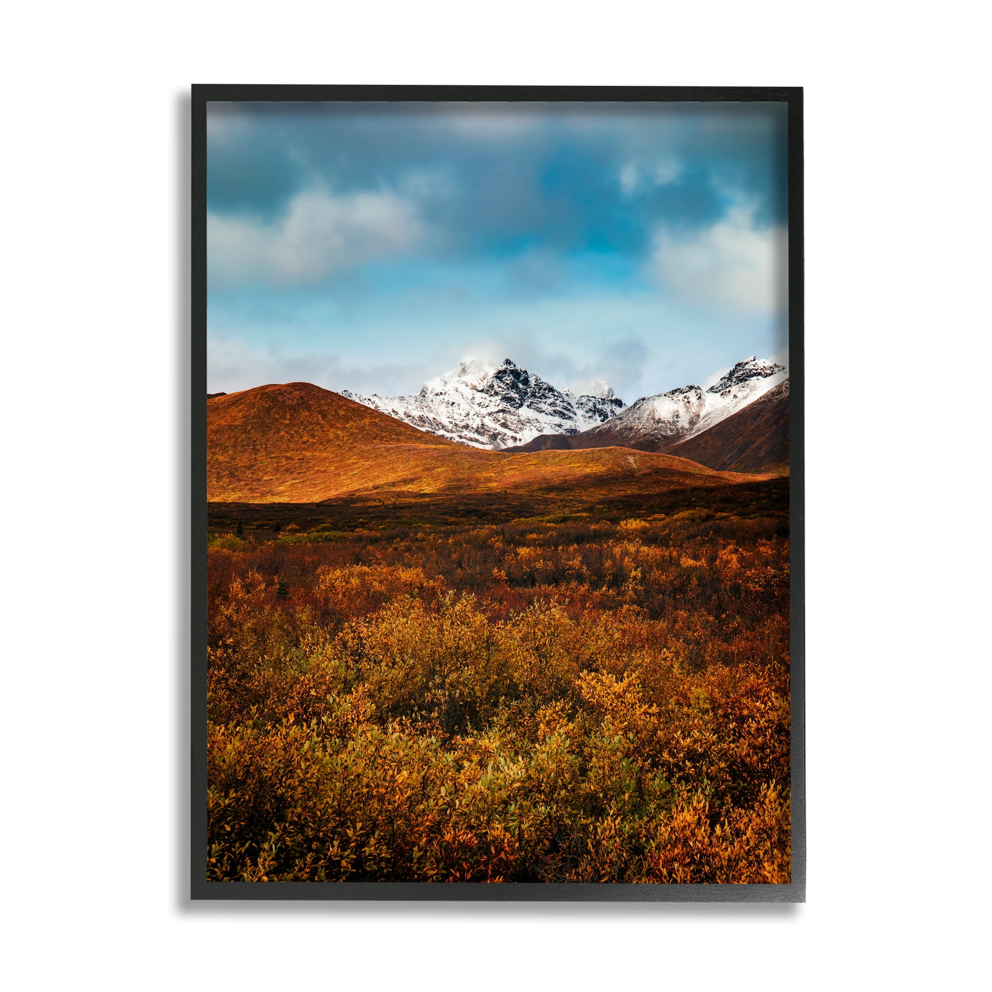 Stupell Industries Icy Mountain Landscape Landscape Photography Black Framed Art Print Wall Art, 16 x 20