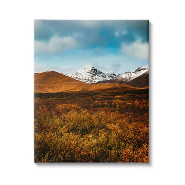 Stupell Industries Icy Mountain Landscape Landscape Photography Gallery Wrapped Canvas Art Print Wall Art, 16 x 20