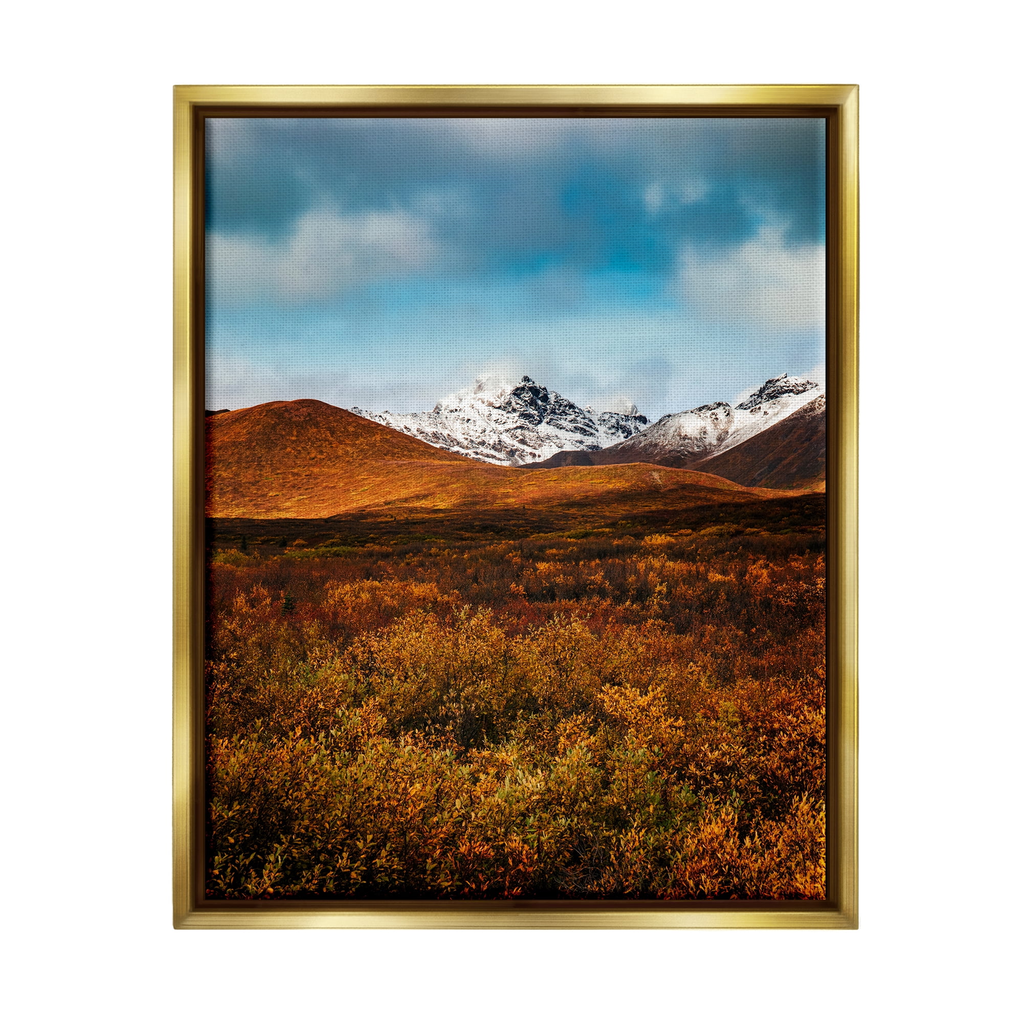 Stupell Industries Icy Mountain Landscape Landscape Photography Gold Floater Framed Canvas Art Print Wall Art, 25 x 31