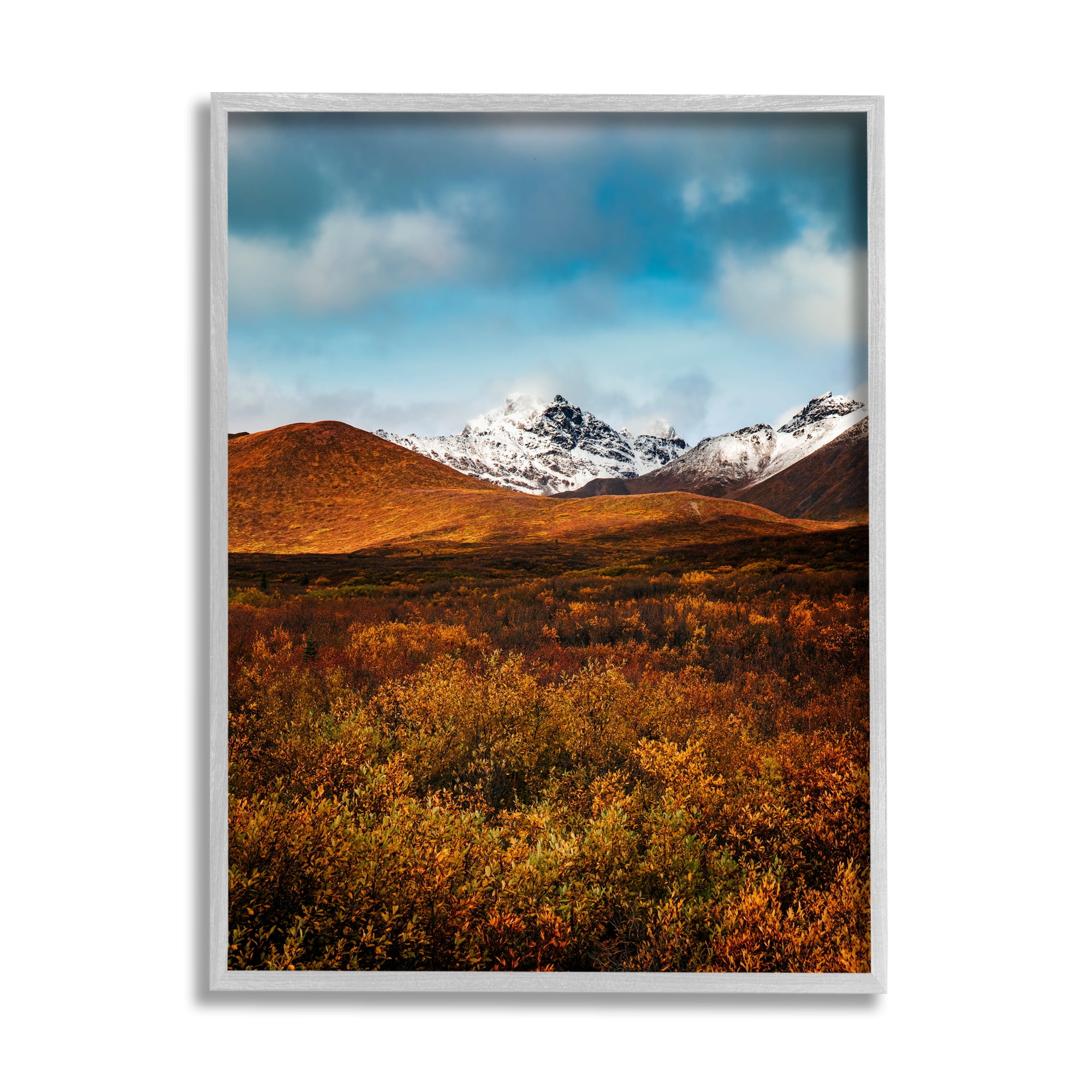 Stupell Industries Icy Mountain Landscape Landscape Photography Gray Framed Art Print Wall Art, 16 x 20