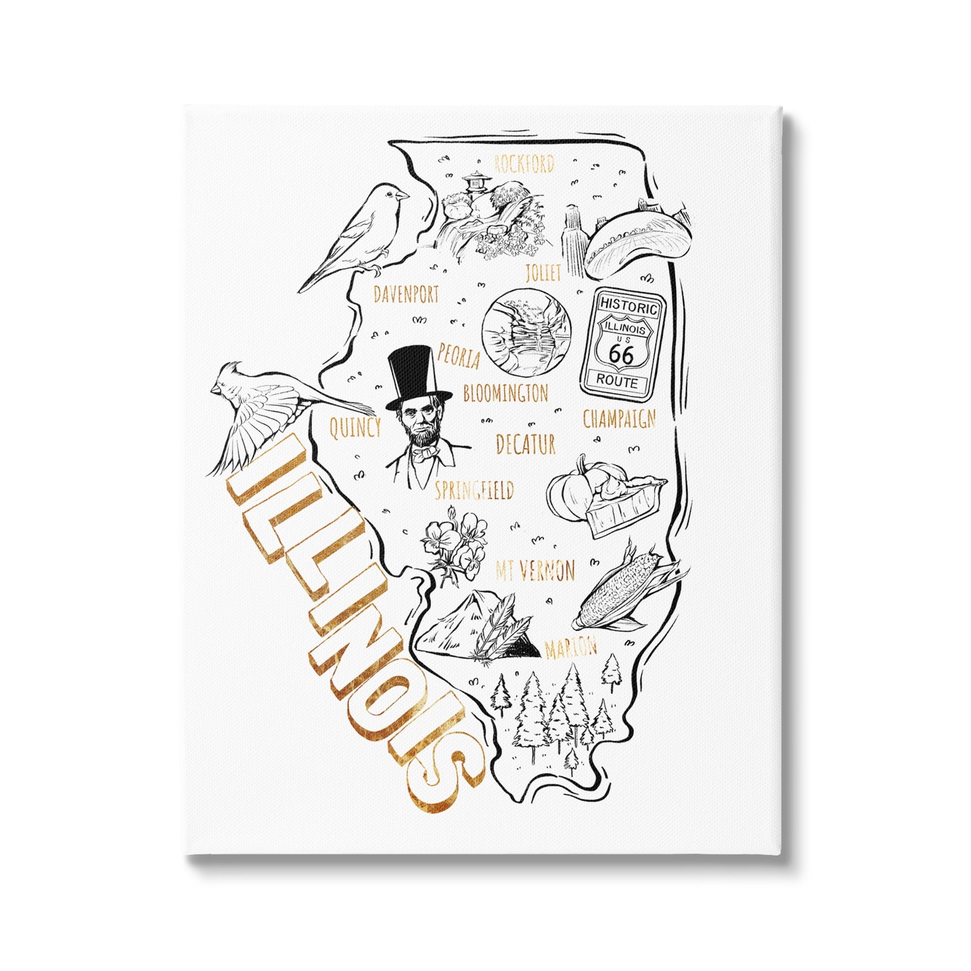 Stupell Industries Illinois State Landmark Map Glam Detail Text Canvas Wall Art, 30 x 40, Design by Ziwei Li