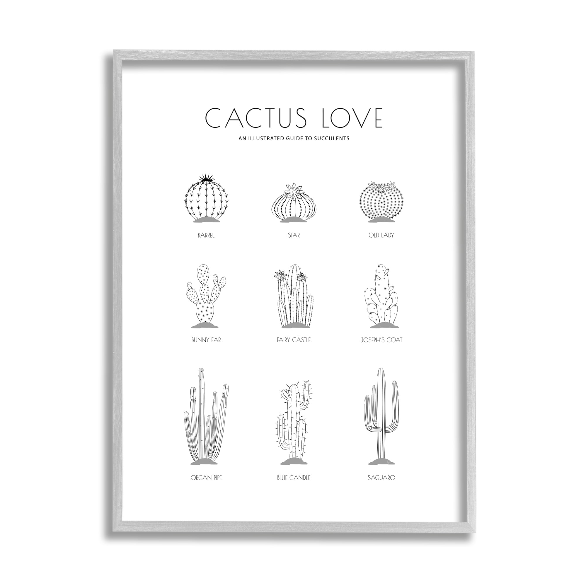 Stupell Industries Illustrated Guide to Succulents Minimal Modern Cactus Plant, 11 x 14, Designed by Martina Pavlova