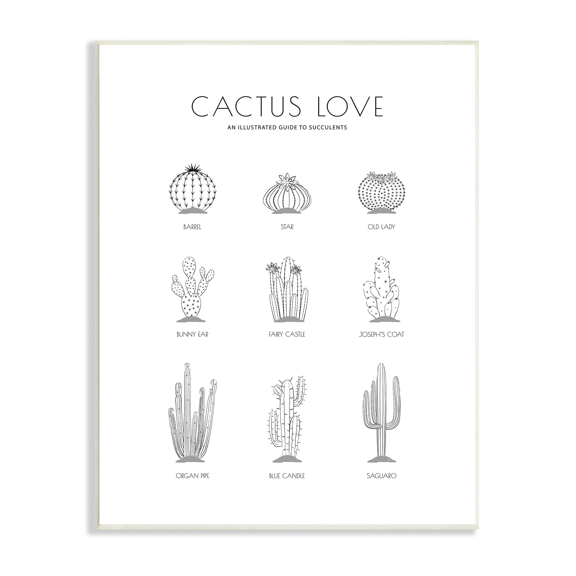 Stupell Industries Illustrated Guide to Succulents Minimal Modern Cactus Plant, 13 x 19, Designed by Martina Pavlova