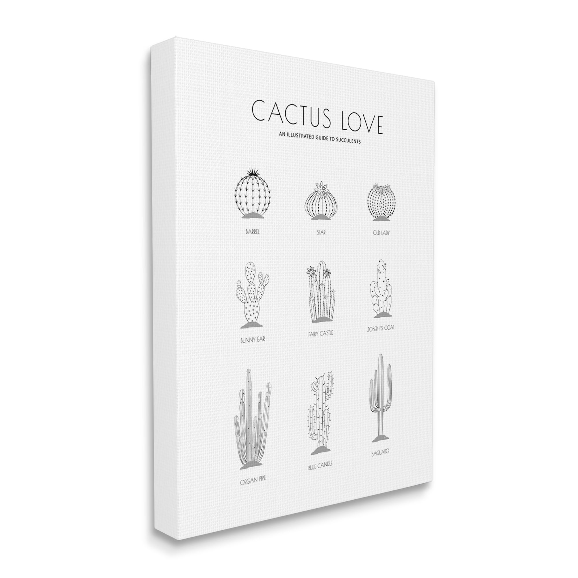 Stupell Industries Illustrated Guide to Succulents Minimal Modern Cactus Plant, 16 x 20, Designed by Martina Pavlova