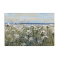 thumbnail image 1 of Stupell Industries Transitional Impressionist Seaside Meadow Canvas Art, 45 x 30, by Sally Swatland, 1 of 8