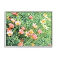 thumbnail image 1 of Stupell Industries Impressionistic Pink Carnations In Green Field, 16 x 20, Designed by Emily Navas, 1 of 6