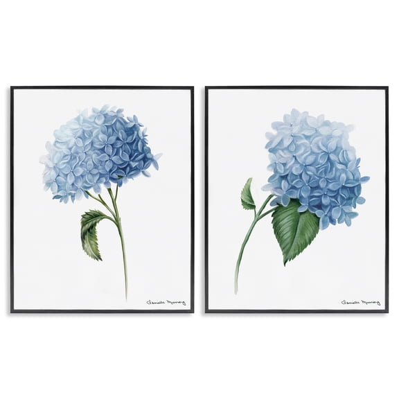 Stupell Industries In Bloom Hydrangeas 2 Piece Black Framed Giclee Art Set design by Danielle Murray, 14 x 11