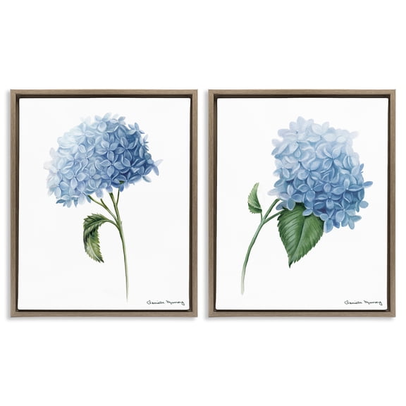 Stupell Industries In Bloom Hydrangeas 2 Piece Brown Framed Floater Canvas Set design by Danielle Murray, 31 x 25