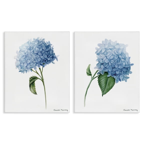 Stupell Industries In Bloom Hydrangeas 2 Piece Canvas Wall Art Set design by Danielle Murray, 20 x 16