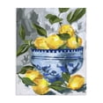 thumbnail image 1 of Stupell Industries Farmhouse Indigo & Lemon Bowl Canvas Art, 36 x 48, by Melissa Wang, 1 of 8