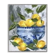 thumbnail image 1 of Stupell Industries Farmhouse Indigo & Lemon Bowl Gray Framed Giclee Art, 11 x 14, by Melissa Wang, 1 of 8