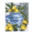 thumbnail image 1 of Stupell Industries Cottage Indigo & Lemon Vase Canvas Art, 16 x 20, by Melissa Wang, 1 of 8