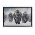 thumbnail image 1 of Stupell Industries Indomitable Bison in Snow Animals Photography Black Floater Framed Canvas Art Print Wall Art, 31 x 21, 1 of 10